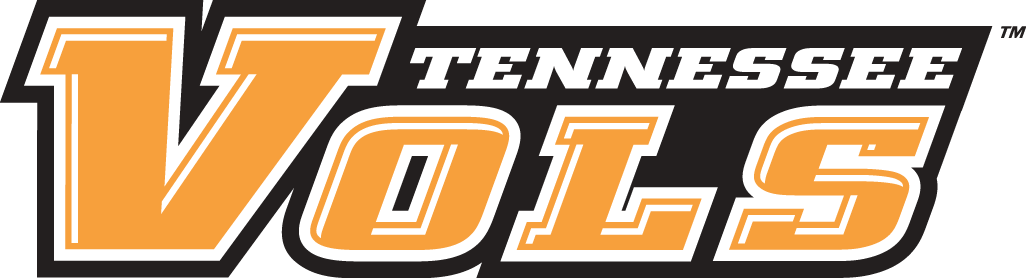 Tennessee Volunteers 2005-Pres Wordmark Logo v2 iron on transfers for clothing